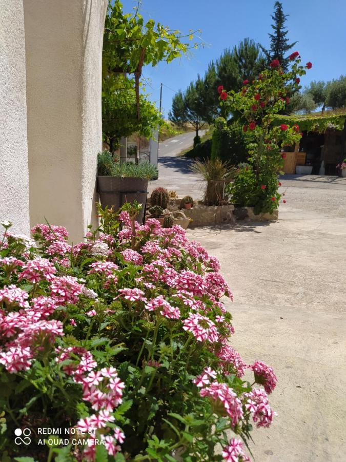 B&B Troisi Racalmuto Zewnętrze zdjęcie